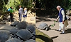 PM Modi visits tortoise enclosure, joins Seychelles president in tree plantation ceremony