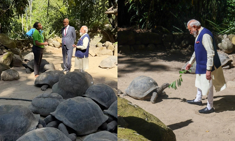 PM Modi visits tortoise enclosure, joins Seychelles president in tree plantation ceremony
