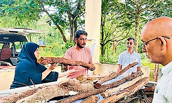 ಅನಾಥ ಹಿಂದೂ ವ್ಯಕ್ತಿಯ ಅಂತಿಮ ಸಂಸ್ಕಾರ ನೆರವೇರಿಸಿದ ಮುಸ್ಲಿಂ ಹೆಣ್ಣುಮಗಳು