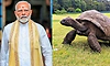 ಸೆಶೆಲ್ಸ್ ಪ್ರವಾಸದ ವೇಳೆ ವಿಶ್ವದ ಅತ್ಯಂತ ಹಿರಿಯ ಆಮೆ 'ಜೊನಾಥನ್' ಭೇಟಿ ಮಾಡಿದ ಪ್ರಧಾನಿ