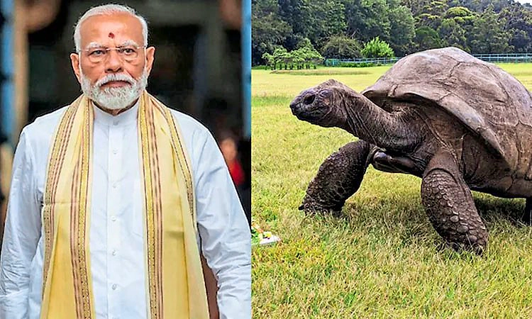 ಸೆಶೆಲ್ಸ್ ಪ್ರವಾಸದ ವೇಳೆ ವಿಶ್ವದ ಅತ್ಯಂತ ಹಿರಿಯ ಆಮೆ 'ಜೊನಾಥನ್' ಭೇಟಿ ಮಾಡಿದ ಪ್ರಧಾನಿ