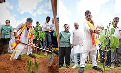 ಬೆಂಗ್ಳೂರಲ್ಲಿ 12 ಗಂಟೇಲಿ 15 ಲಕ್ಷ ಸಸಿ ನೆಟ್ಟು ದಾಖಲೆ 
