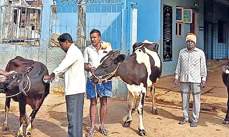 Udupi: ಪಶು ಆಸ್ಪತ್ರೆಗಳಿವೆ; ವೈದ್ಯರು, ಸಿಬಂದಿ ಕೊರತೆ