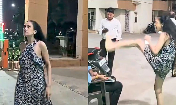 ಗೇಟ್‌ನಲ್ಲಿ ಡೆಲಿವರಿ ಬಾಯ್‌ನನ್ನು ತಡೆದಿದ್ದಕ್ಕೆ ಸೆಕ್ಯುರಿಟಿ ಗಾರ್ಡ್‌ಗಳ ಮೇಲೆ ಮಹಿಳೆ ಗರಂ