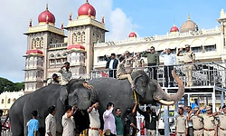 ಮೈಸೂರು ದಸರಾ: ಮಾವುತ, ಕಾವಾಡಿಗರು ಸೇರಿ 39 ಮಂದಿಗೆ 7.80 ಕೋಟಿ ರೂ. ವಿಮೆ