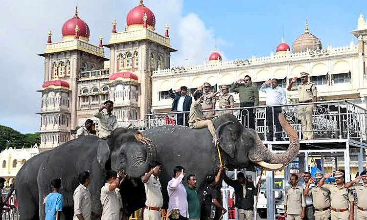 ಮೈಸೂರು ದಸರಾ: ಮಾವುತ, ಕಾವಾಡಿಗರು ಸೇರಿ 39 ಮಂದಿಗೆ 7.80 ಕೋಟಿ ರೂ. ವಿಮೆ