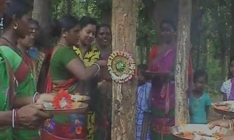 ಜಾರ್ಖಂಡ್‌ನಲ್ಲಿ ವೃಕ್ಷ ಸಂರಕ್ಷಣೆ ಅಭಿಯಾನ: 3 ಲಕ್ಷ ಮರಗಳಿಗೆ ರಾಖಿ