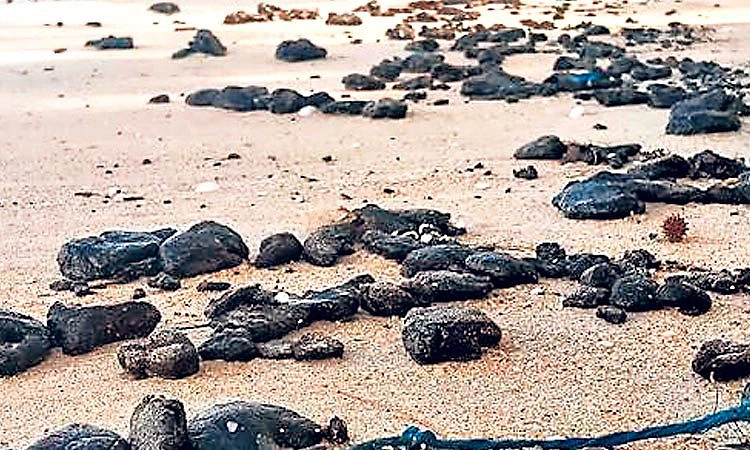ಕರಾವಳಿಯ ಡಾಮರು ಉಂಡೆ ಸಮಸ್ಯೆ ಬಗೆಹರಿಸಲು ಶಿಫಾರಸು