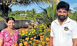 Kasaragod: ಚೆಂಡು ಹೂವಿನಲ್ಲಿ ಬದುಕಿನ ಬಂಡಿ