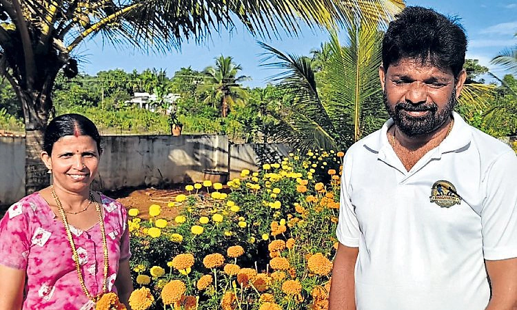 Kasaragod: ಚೆಂಡು ಹೂವಿನಲ್ಲಿ ಬದುಕಿನ ಬಂಡಿ