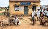 ರಾಜ್ಯದಲ್ಲಿ 1139 ಪಶು ವೈದ್ಯ ಹುದ್ದೆ ಖಾಲಿ!