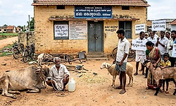 ರಾಜ್ಯದಲ್ಲಿ 1139 ಪಶು ವೈದ್ಯ ಹುದ್ದೆ ಖಾಲಿ!
