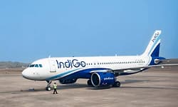 IndiGo's prolonged, unorthodox lean manpower strategy caused current disruption: Pilots' body FIP