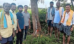 Gudibande: ಬೇವಿನ ಮರದಲ್ಲಿ ಹಾಲು; ಮುಗಿಬಿದ್ದ ಜನತೆ