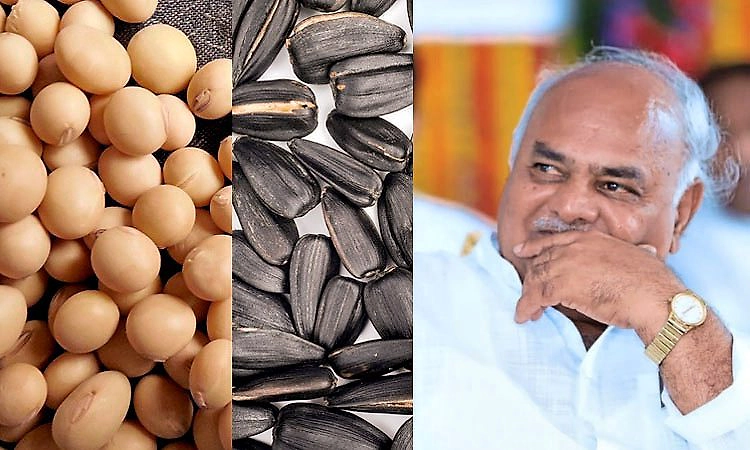 ನಾಳೆಯಿಂದ ಬೆಂಬಲ ಬೆಲೆಯಲ್ಲಿ ಸೋಯಾ, ಸೂರ್ಯಕಾಂತಿ, ಹೆಸರು ಖರೀದಿ: ಸಚಿವ ಶಿವಾನಂದ ಪಾಟೀಲ