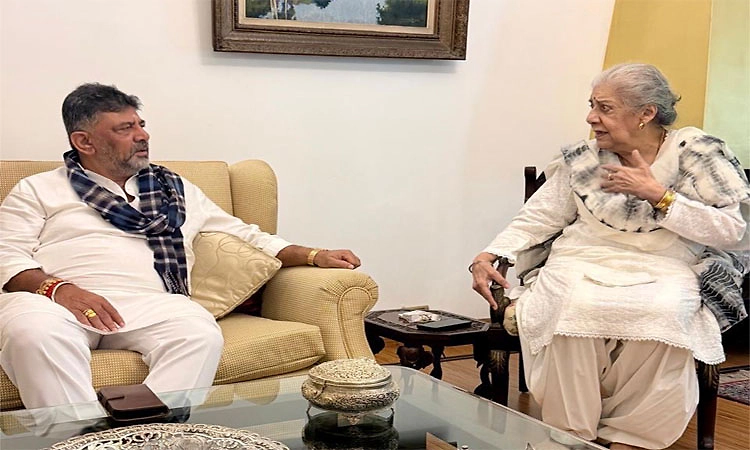 Congress; ದೆಹಲಿ ಭೇಟಿ ಕುತೂಹಲ: ಡಿ.ಕೆ.ಶಿವಕುಮಾರ್ ತೆರಳಿದ್ದು ರಾಜಕೀಯ ಕಾರಣಕ್ಕಲ್ಲ