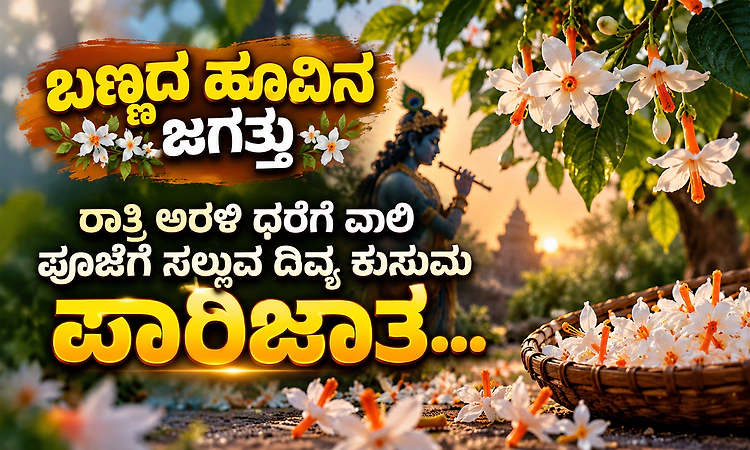 ರಾತ್ರಿ ಅರಳಿ ಧರೆಗೆ ವಾಲಿ ಪೂಜೆಗೆ ಸಲ್ಲುವ ದಿವ್ಯ ಕುಸುಮ ಪಾರಿಜಾತ...