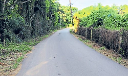 Mangaluru: ಕೆತ್ತಿಕಲ್‌-ಕೊಂಬೆಲ್‌ ರಸ್ತೆ ಕಿಷ್ಕಿಂಧೆ!