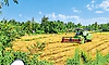 ಭತ್ತ ಬೆಳೆಗಾರರಿಗೆ ಡಬಲ್‌ ಸಂಕಷ್ಟ