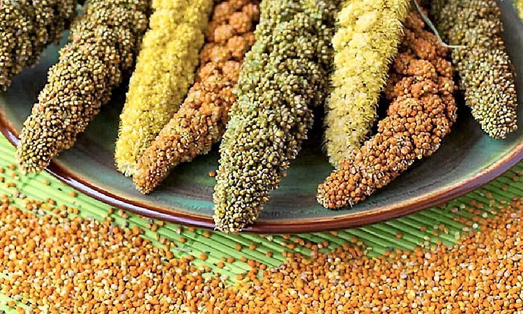 1 ಎಕರೆಯಲ್ಲಿ 41 ತಳಿ ಸಿರಿಧಾನ್ಯ ಬೆಳೆದ ರೈತ!