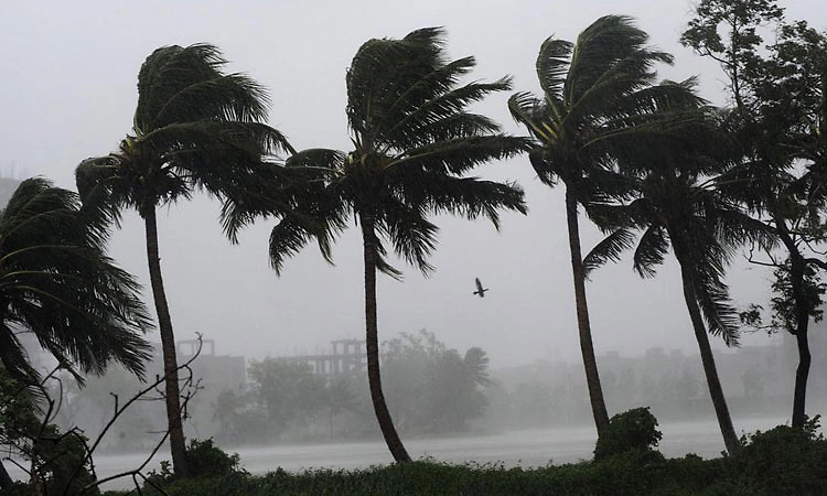 ರಾಜ್ಯದಲ್ಲಿ ಚಳಿಗೆ ಕೊಲ್ಲಿ ಚಂಡಮಾರುತ ಕಾರಣ