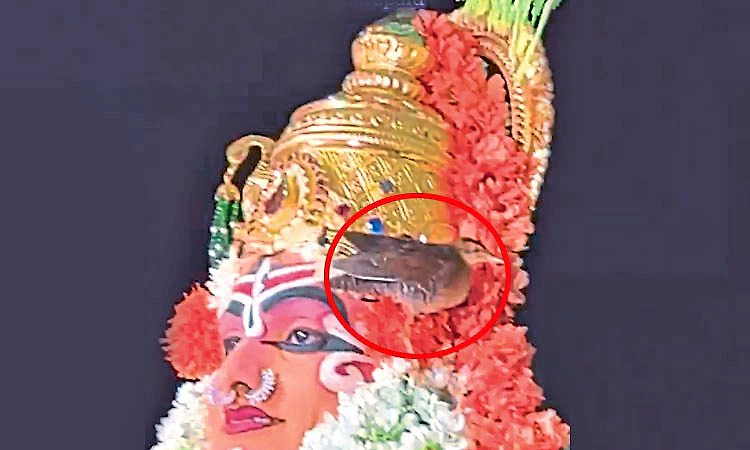 B.C. Road: ಯಕ್ಷಗಾನದ ವೇಳೆ ದೇವಿಯ ಶಿರದಲ್ಲಿ ಕುಳಿತ ಹಕ್ಕಿ