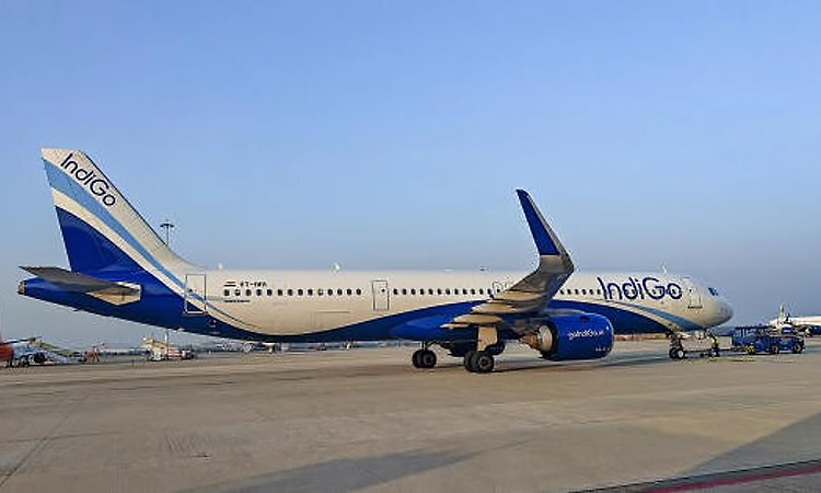 IndiGo flight disruptions: Panel submits probe report to DGCA