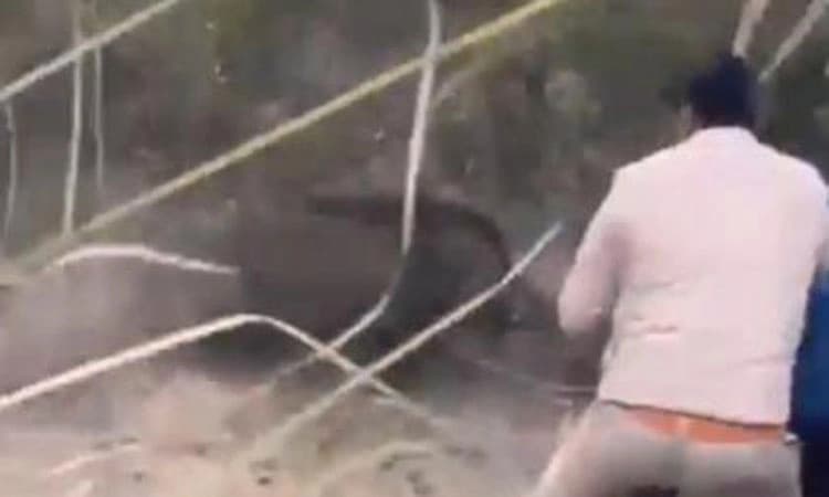 Viral Video; ಕಾಡುಹಂದಿ ದಾಳಿ: ಸಹೋದ್ಯೋಗಿಗಳ ಧೈರ್ಯದಿಂದ ಅರಣ್ಯ ಅಧಿಕಾರಿ ಪಾರು