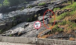 ಏನ್ ಹೇಳ್ತೀರೋ ಹೇಳಿ.. ನಾವು ಮಾಡೋದ್ ಮಾಡ್ತೇವೆ! ಚಾರ್ಮಾಡಿ ಘಾಟಿಯಲ್ಲಿ ಪ್ರವಾಸಿಗರ ಹುಚ್ಚಾಟ