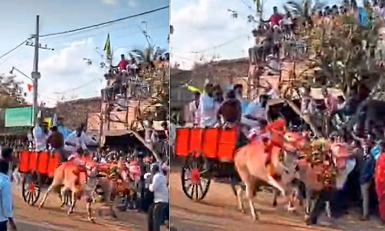 Chikkamagaluru: ಅಂತರಘಟ್ಟೆ ಜಾತ್ರೆ ವೇಳೆ ದುರಂತ: ಎತ್ತಿನಗಾಡಿ ನೊಗ ಬಡಿದು ವ್ಯಕ್ತಿ ಗಂಭೀರ