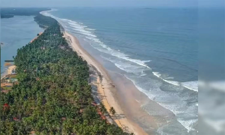 ಕೋಡಿ ಬೀಚ್‌ ಕಡೆಗೂ ಸ್ವಲ್ಪ ನೋಡಿ! ಆಲಿವ್‌ ರಿಡ್ಲಿ ಆಮೆಗಳ ತವರು