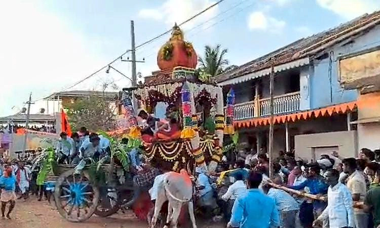 ಪಾನಕದ ಬಂಡಿಗಳ ರೇಸ್: ರಥಕ್ಕೆ ಡಿಕ್ಕಿ ಹೊಡೆದ ಎತ್ತಿನಗಾಡಿ; ಪ್ರಜ್ಞೆ ತಪ್ಪಿದ ಎತ್ತು!