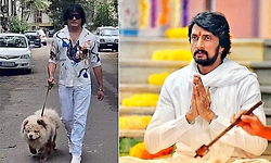 Complaint filed against Dog Satish for using Sudeep’s song in toilet video
