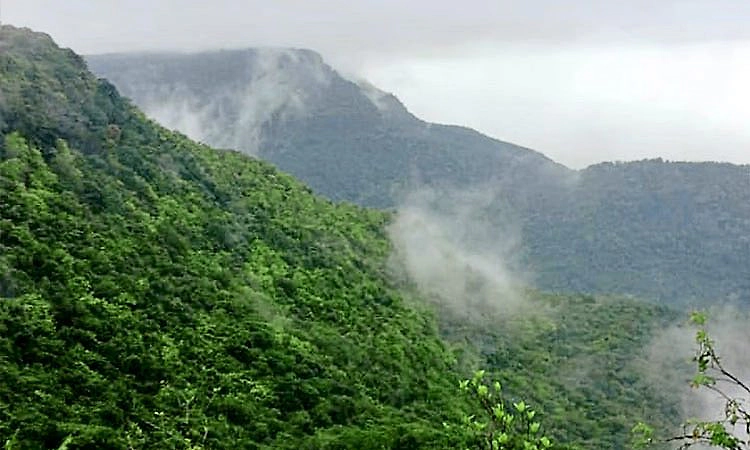 Honnavar: ನಕಲಿ ದಾಖಲೆ ಸೃಷ್ಟಿಸಿ ಅರಣ್ಯ ಭೂಮಿ ಕಬಳಿಕೆ; ಕ್ರಿಮಿನಲ್ ಮೊಕದ್ದಮೆ ದಾಖಲು