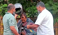 ಬೆಳ್ತಂಗಡಿ: ಹೆಜ್ಜೇನು ದಾಳಿಯಿಂದ ವ್ಯಕ್ತಿ ಗಾಯ