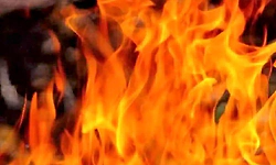 ಪಳ್ಳಿ: ಪಡು ಕಲ್ಲಾಪು ಗ್ರಾಮದಲ್ಲಿ ಅಗ್ನಿ ಅವಘಡ  