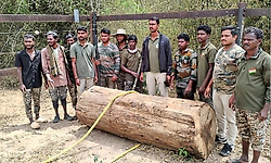 Hunsur: ಲಕ್ಷ್ಮಣ ತೀರ್ಥ ನದಿಯಲ್ಲಿ ತೇಗದ ಮರದ ದಿಮ್ಮಿ ಪತ್ತೆ