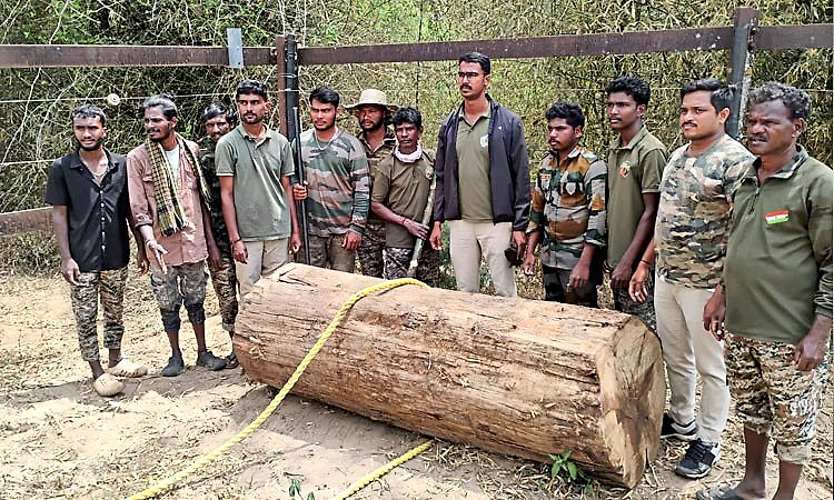 Hunsur: ಲಕ್ಷ್ಮಣ ತೀರ್ಥ ನದಿಯಲ್ಲಿ ತೇಗದ ಮರದ ದಿಮ್ಮಿ ಪತ್ತೆ