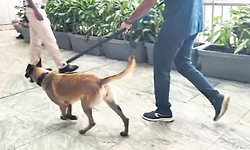 ರಾಜಧಾನಿಯ ಹಲವು ಆರ್‌ಟಿಒ ಕಚೇರಿಗಳ ಸ್ಫೋಟಿಸುವುದಾಗಿ ಬೆದರಿಕೆ