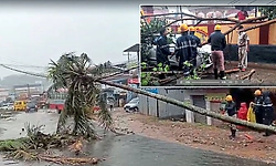 ಮೂಡಿಗೆರೆ ತಾಲೂಕಿನಾದ್ಯಂತ ಗಾಳಿ ಮಳೆ ಅಬ್ಬರ... ಕಾರಿನ ಮೇಲೆ ಬಿದ್ದ ಮರ, ಜನಜೀವನ ಅಸ್ತವ್ಯಸ್ತ