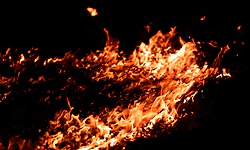 Around 50 women safely evacuated after major fire at warehouse in Bengaluru