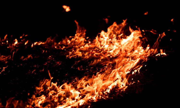 Around 50 women safely evacuated after major fire at warehouse in Bengaluru