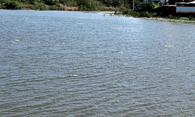 Kaup: ಕೆರೆಗಳ ಪುನರುಜ್ಜೀವನಕ್ಕೆ ಸಿಎಸ್‌ಆರ್‌ ಪ್ರಸ್ತಾವನೆ