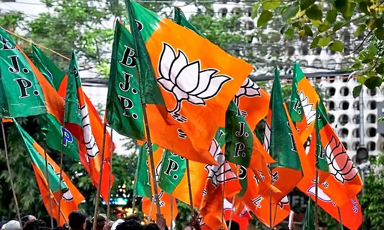 ಗುಜರಾತ್‌ ಸ್ಥಳೀಯ ಸಂಸ್ಥೆ ಚುನಾವಣೆ: ಬಿಜೆಪಿ ಕ್ಲೀನ್‌ ಸ್ವೀಪ್‌