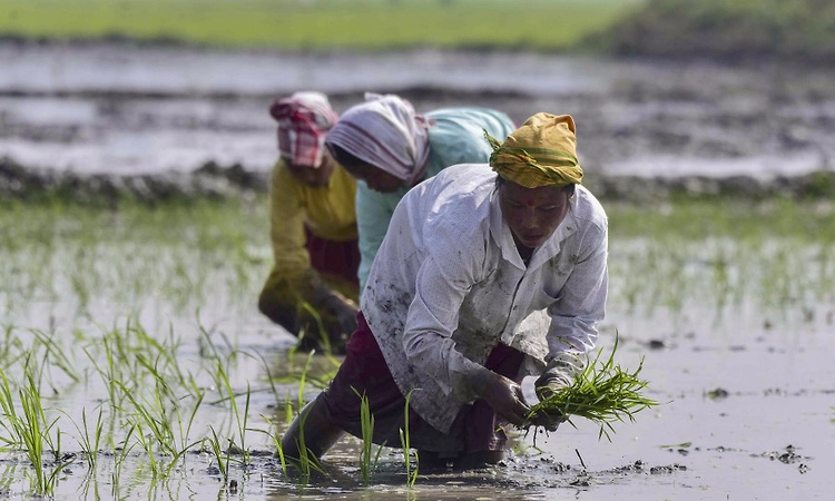 Govt readies contingency plans to counter El Nino threat to kharif season, says Shivraj Singh Chouhan