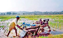 ತೈಲ ಬೆಲೆ ಏರಿಕೆ ಬಿಸಿ: ಕೃಷಿ ಯಂತ್ರೋಪಕರಣ ಬಾಡಿಗೆ ಹೆಚ್ಚಳದ ಆತಂಕ