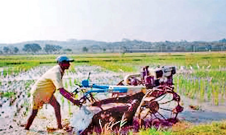 ತೈಲ ಬೆಲೆ ಏರಿಕೆ ಬಿಸಿ: ಕೃಷಿ ಯಂತ್ರೋಪಕರಣ ಬಾಡಿಗೆ ಹೆಚ್ಚಳದ ಆತಂಕ