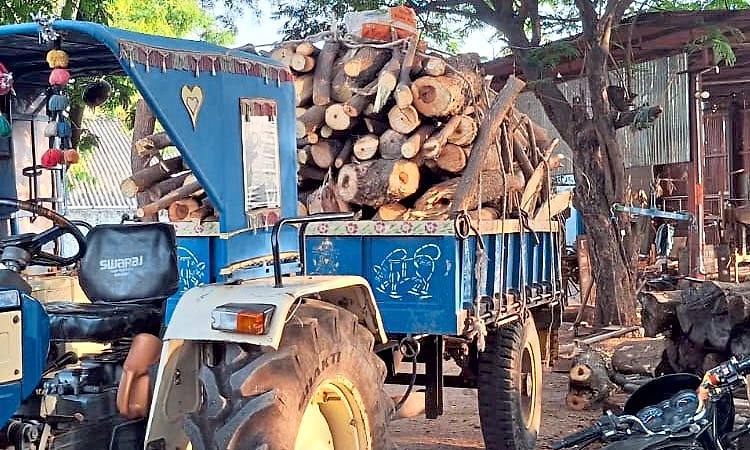 Siddapura: ಬಿರುಗಾಳಿಗೆ ಬಿದ್ದ ಮರಗಳು ಖಾಸಗಿ ಮಿಲ್ ಪಾಲು?