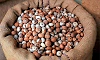 Arecanut moisture control: A challenge for farmers and traders