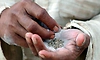 Shivakumar warns of ban on pan masala, gutka containing narcotic substances